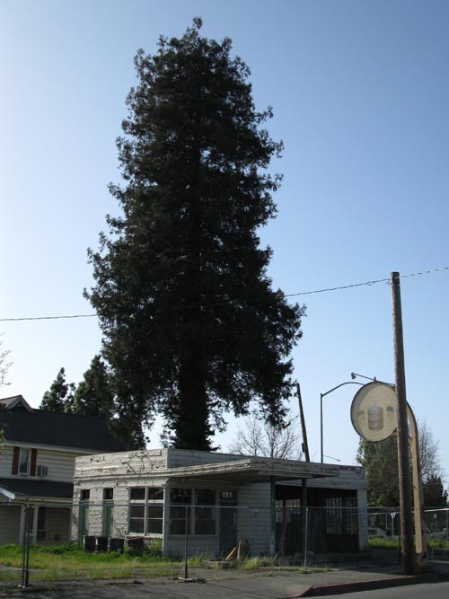 Vine Street Gasoline Station, 185 Healdsburg Avenue, Healdsburg, California, March 17, 2010