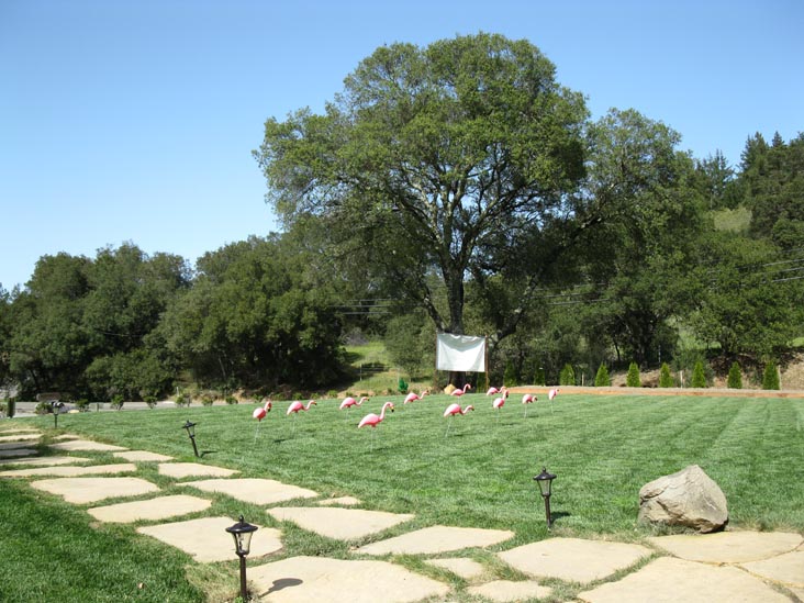 Wilson Winery, 1960 Dry Creek Road, Healdsburg, California