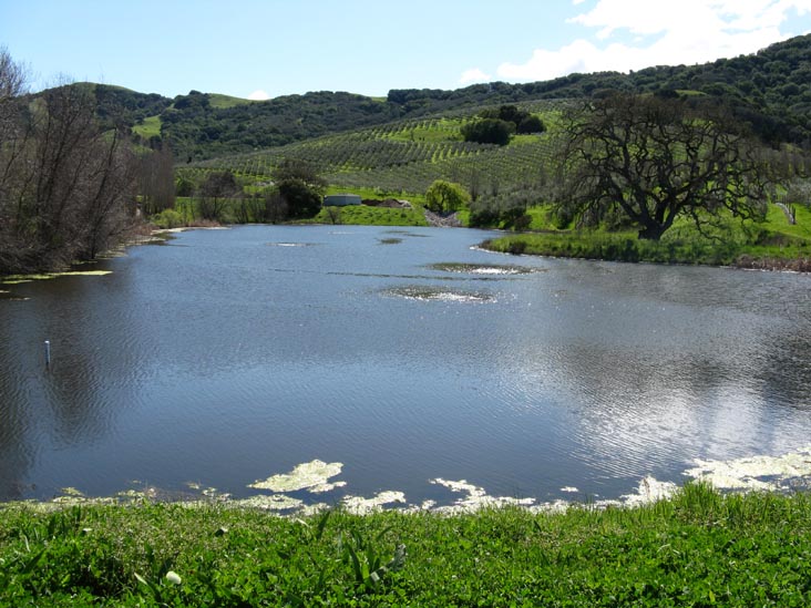 Pond, McEvoy Ranch, 5935 Red Hill Road, Petaluma, California