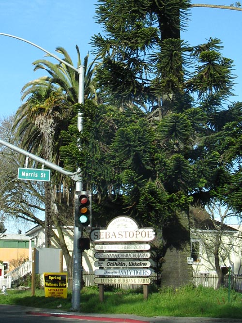 Sebastopol Avenue and Morris Street, NW Corner, Sebastopol, California