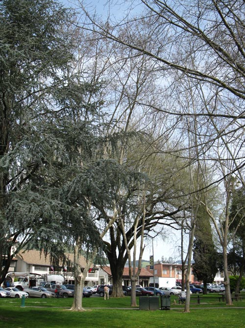 Sonoma Plaza, Sonoma, California