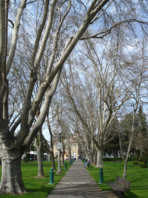 Sonoma Plaza, Sonoma, California
