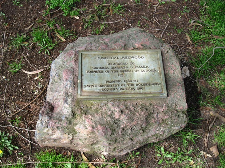 Memorial Redwood Marker, Sonoma Plaza, Sonoma, California