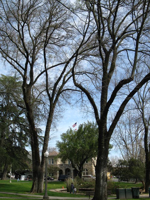 Sonoma Plaza, Sonoma, California