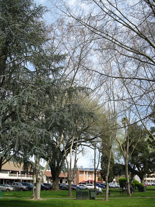 Sonoma Plaza, Sonoma, California