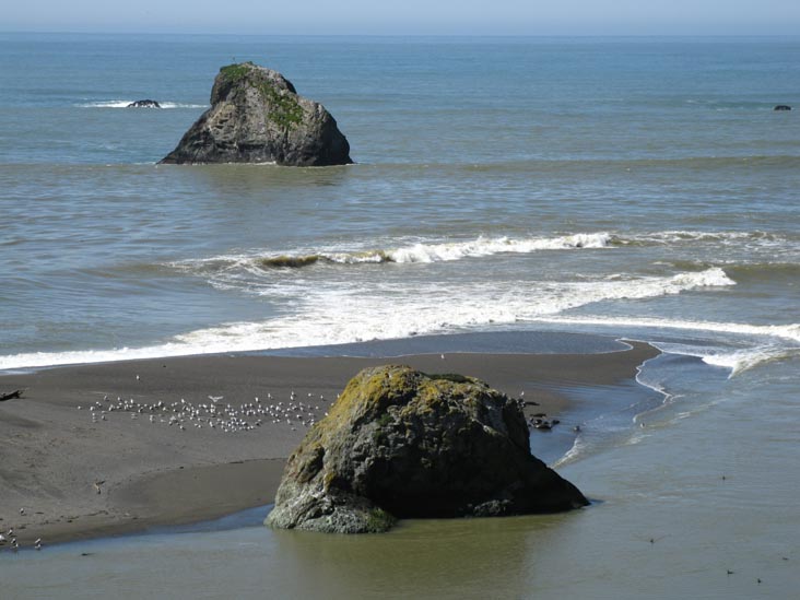 Goat Rock Beach Overlook, Pacific Coast Highway Near Jenner, Sonoma Coast State Park, Sonoma County, California