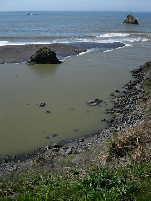 Goat Rock Beach Overlook, Pacific Coast Highway Near Jenner, Sonoma Coast State Park, Sonoma County, California