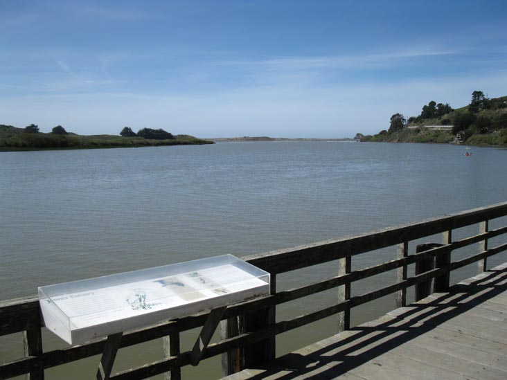 Russian River From Jenner Visitor Center, Sonoma Coast State Park, Sonoma County, California