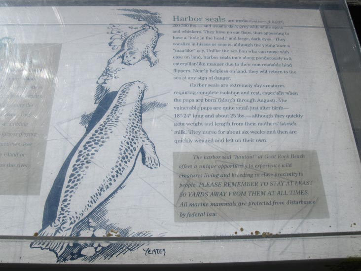 Harbor Seals Interpretive Sign, Jenner Visitor Center, Sonoma Coast State Park, Sonoma County, California