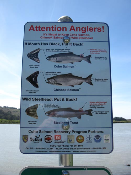 Jenner Visitor Center, Sonoma Coast State Park, Sonoma County, California