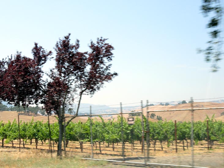 Route 128, Sonoma County, California