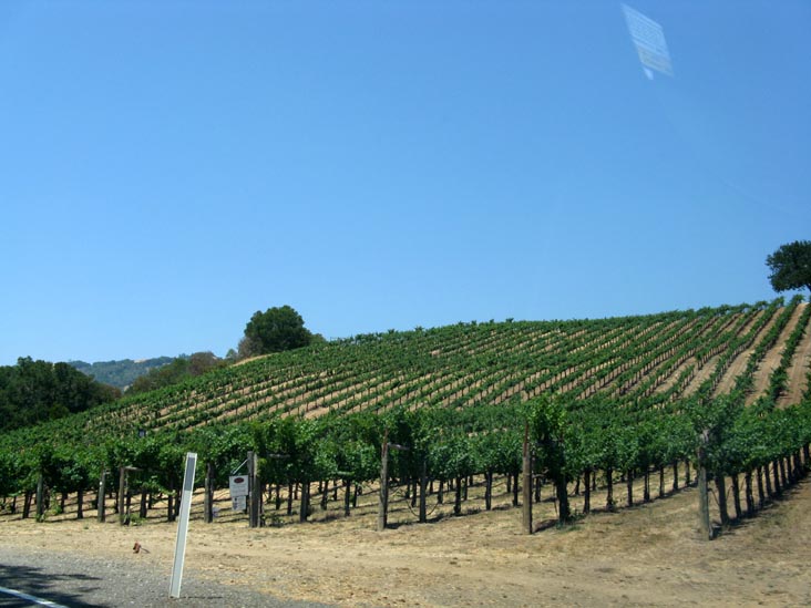 Joseph Family Vineyards, 10300 Highway 128, Healdsburg, Sonoma County, California