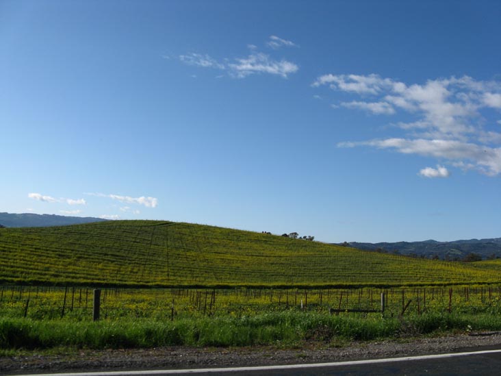 Sonoma Highway, Sonoma County, California