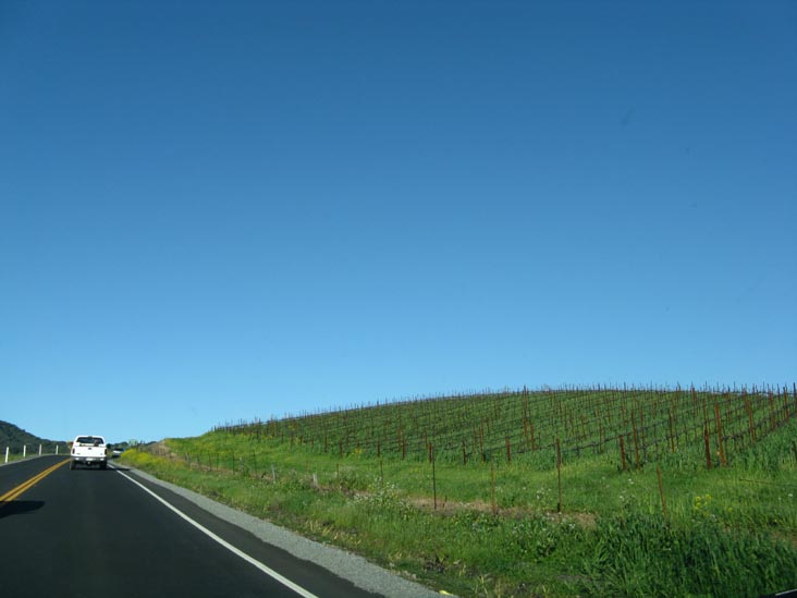 Sonoma Highway, Sonoma County, California
