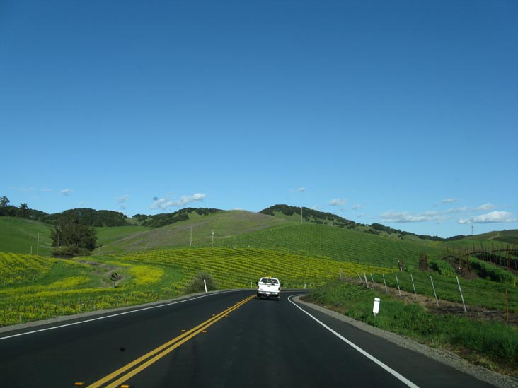 Sonoma Highway, Sonoma County, California
