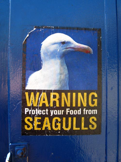 Seagull Warning, Granville Island Public Market, Granville Island, Vancouver, BC, Canada