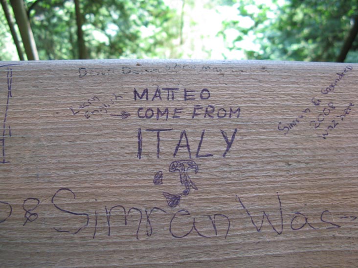 Cliffhanger Boardwalk, Rainforest, Capilano Suspension Bridge, North Vancouver, BC, Canada