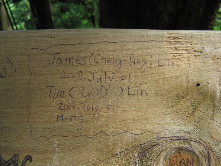 Cliffhanger Boardwalk, Rainforest, Capilano Suspension Bridge, North Vancouver, BC, Canada