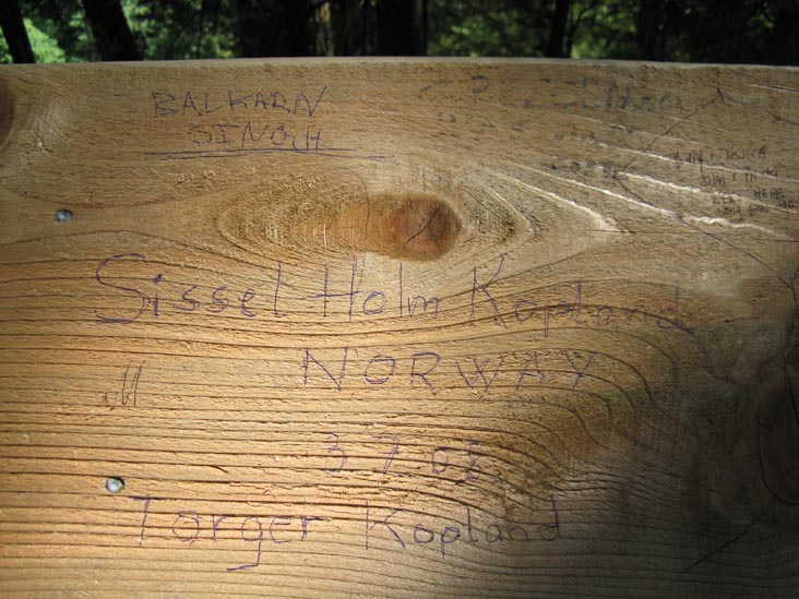 Cliffhanger Boardwalk, Rainforest, Capilano Suspension Bridge, North Vancouver, BC, Canada