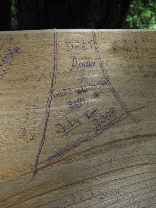 Cliffhanger Boardwalk, Rainforest, Capilano Suspension Bridge, North Vancouver, BC, Canada