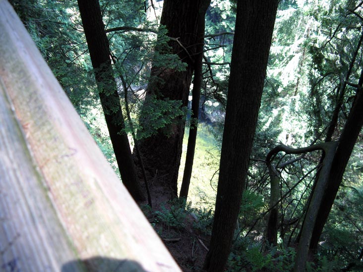 Capilano River From Cliffhanger Boardwalk, Rainforest, Capilano Suspension Bridge, North Vancouver, BC, Canada
