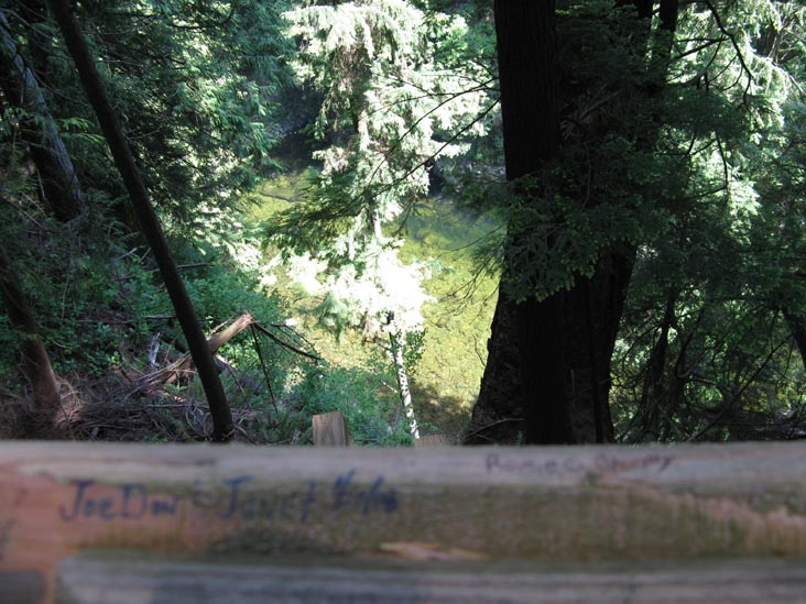 Capilano River From Cliffhanger Boardwalk, Rainforest, Capilano Suspension Bridge, North Vancouver, BC, Canada