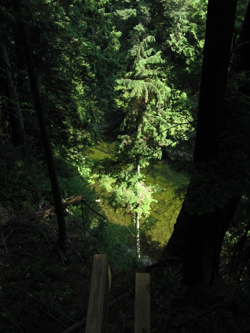 Capilano River From Cliffhanger Boardwalk, Rainforest, Capilano Suspension Bridge, North Vancouver, BC, Canada