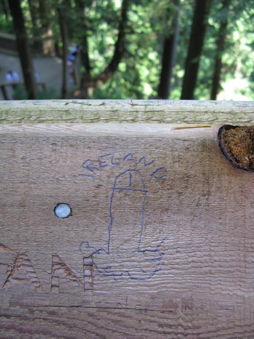 Cliffhanger Boardwalk, Rainforest, Capilano Suspension Bridge, North Vancouver, BC, Canada