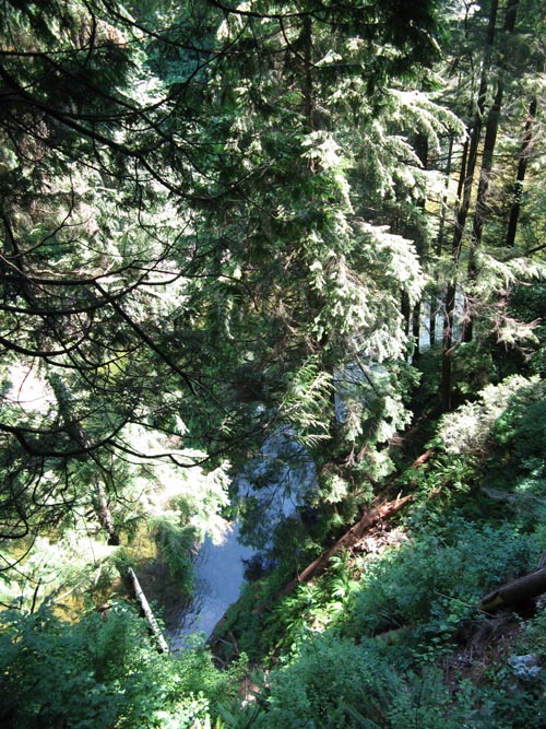 Capilano River From Cliffhanger Boardwalk, Rainforest, Capilano Suspension Bridge, North Vancouver, BC, Canada