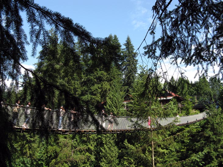 Suspension Bridge From Cliffhanger Boardwalk, Rainforest, Capilano Suspension Bridge, North Vancouver, BC, Canada