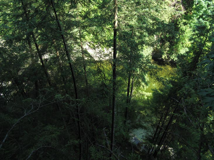 Capilano River From Cliffhanger Boardwalk, Rainforest, Capilano Suspension Bridge, North Vancouver, BC, Canada