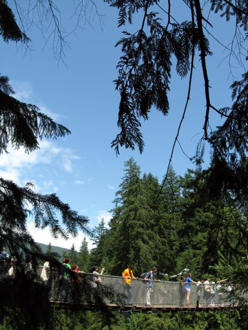 Suspension Bridge From Cliffhanger Boardwalk, Rainforest, Capilano Suspension Bridge, North Vancouver, BC, Canada