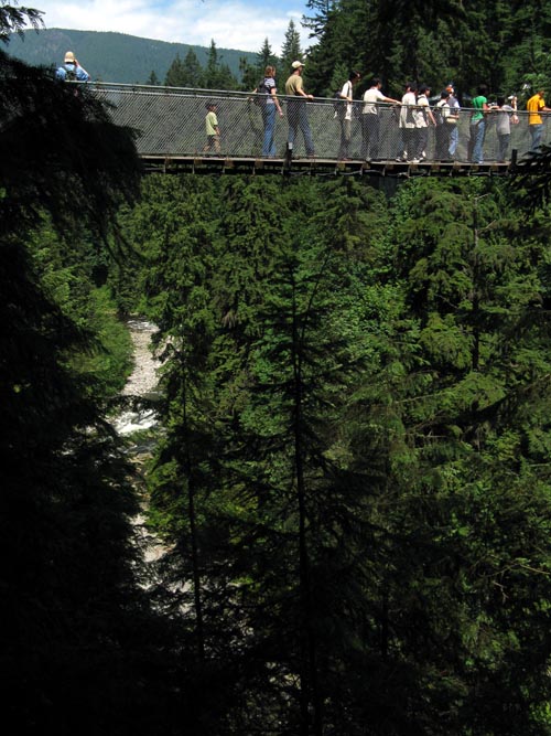 Suspension Bridge From Cliffhanger Boardwalk, Rainforest, Capilano Suspension Bridge, North Vancouver, BC, Canada