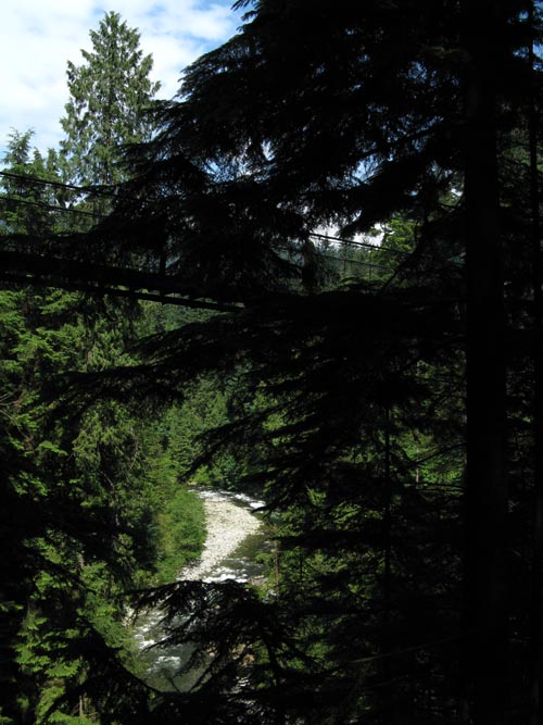 Capilano River From Cliffhanger Boardwalk, Rainforest, Capilano Suspension Bridge, North Vancouver, BC, Canada
