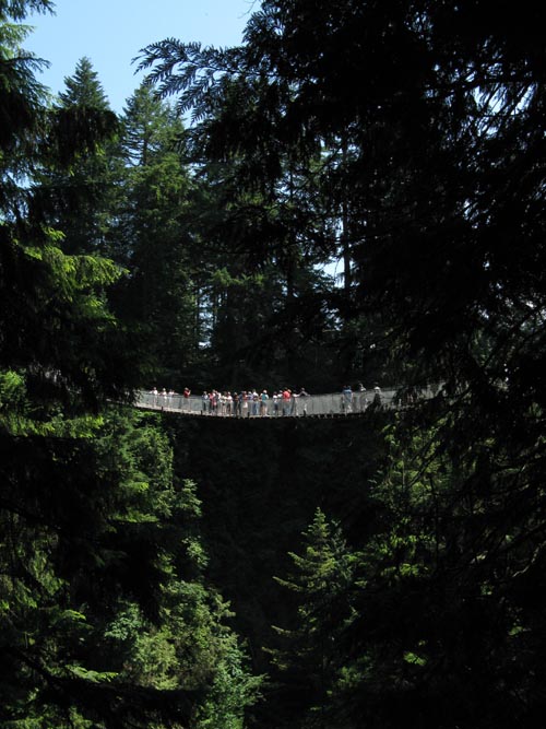 Suspension Bridge From Cliffhanger Boardwalk, Rainforest, Capilano Suspension Bridge, North Vancouver, BC, Canada