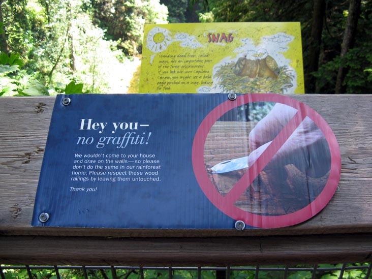 Observation Deck, Cliffhanger Boardwalk, Rainforest, Capilano Suspension Bridge, North Vancouver, BC, Canada