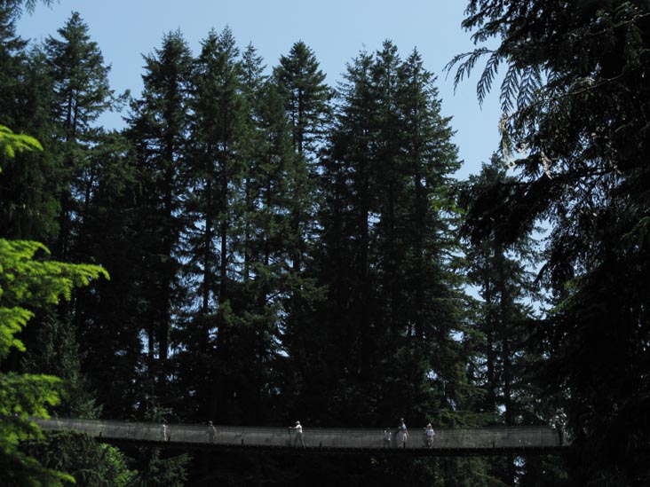 Suspension Bridge From Observation Deck, Cliffhanger Boardwalk, Rainforest, Capilano Suspension Bridge, North Vancouver, BC, Canada