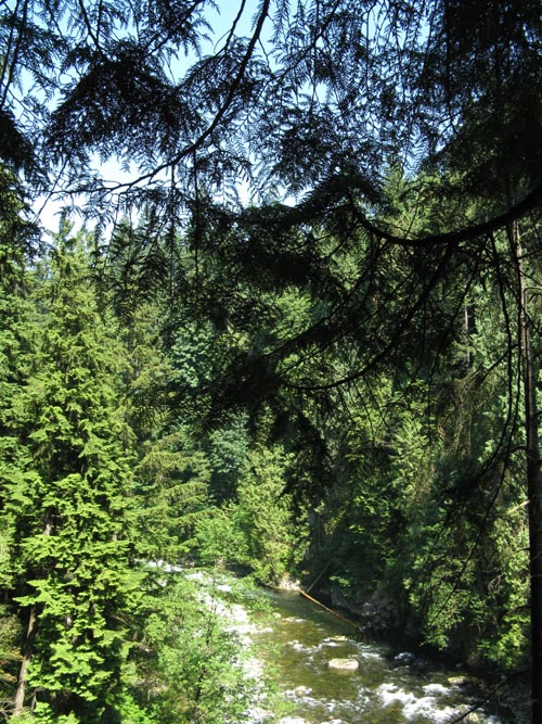 Capilano River From Observation Deck, Cliffhanger Boardwalk, Rainforest, Capilano Suspension Bridge, North Vancouver, BC, Canada