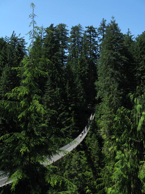 Capilano Suspension Bridge, North Vancouver, BC, Canada