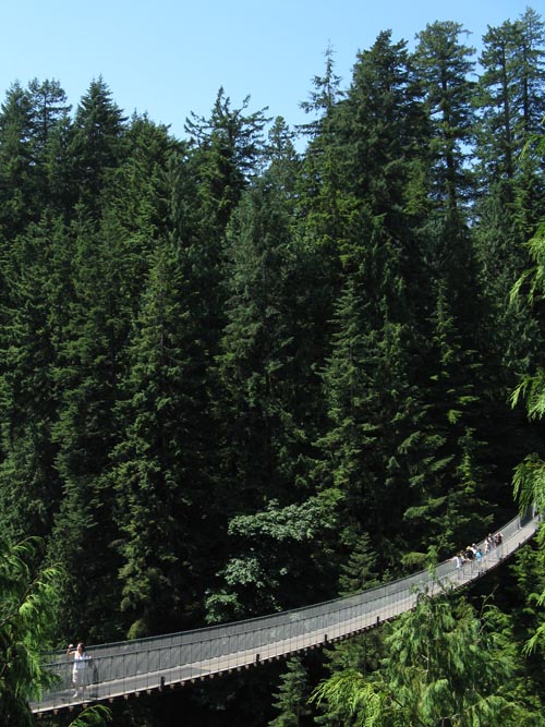Capilano Suspension Bridge, North Vancouver, BC, Canada