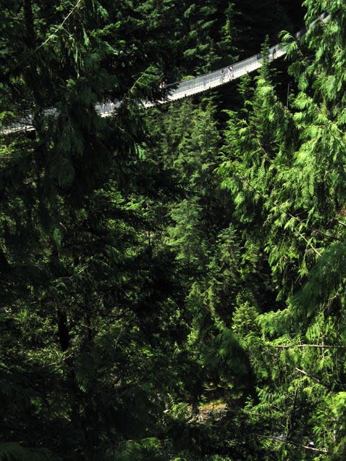 Capilano Suspension Bridge, North Vancouver, BC, Canada