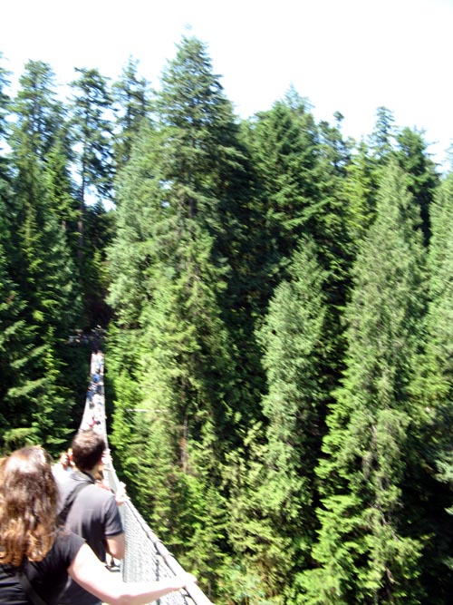 Capilano Suspension Bridge, North Vancouver, BC, Canada