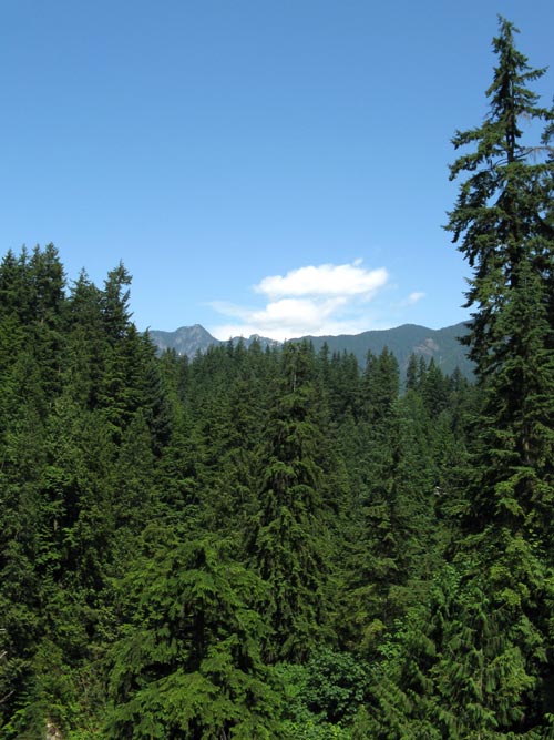 View From Capilano Suspension Bridge, North Vancouver, BC, Canada