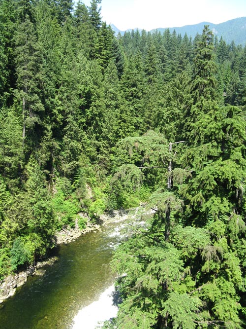 Capilano River From Capilano Suspension Bridge, North Vancouver, BC, Canada