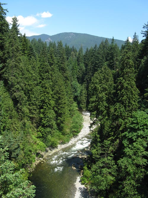 Capilano River From Capilano Suspension Bridge, North Vancouver, BC, Canada