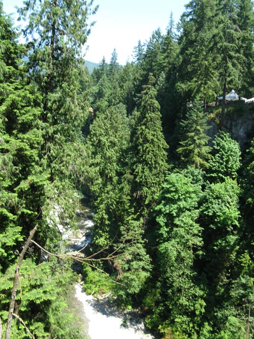 Capilano River From Capilano Suspension Bridge, North Vancouver, BC, Canada