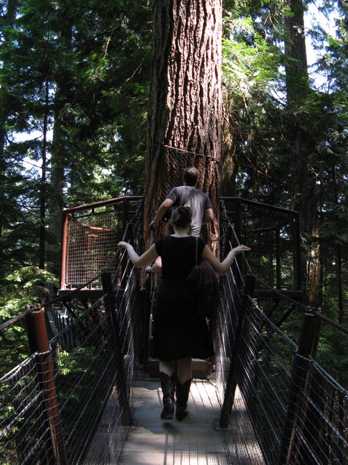 Treetops Adventure, Rainforest, Capilano Suspension Bridge, North Vancouver, BC, Canada