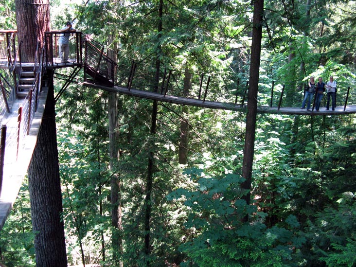Treetops Adventure, Rainforest, Capilano Suspension Bridge, North Vancouver, BC, Canada