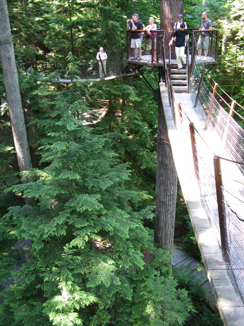 Treetops Adventure, Rainforest, Capilano Suspension Bridge, North Vancouver, BC, Canada