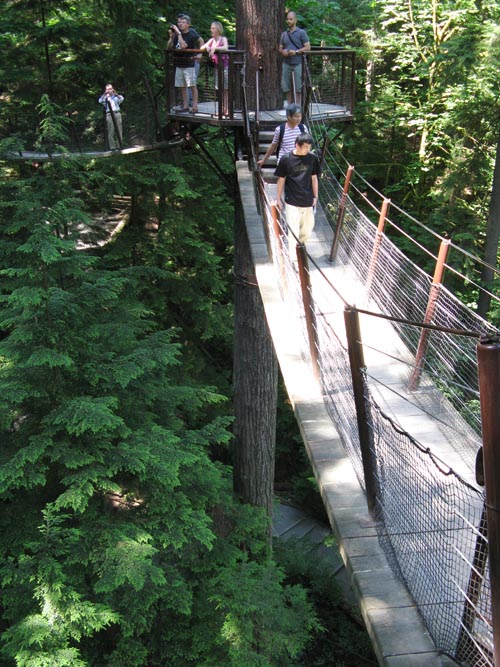 Treetops Adventure, Rainforest, Capilano Suspension Bridge, North Vancouver, BC, Canada